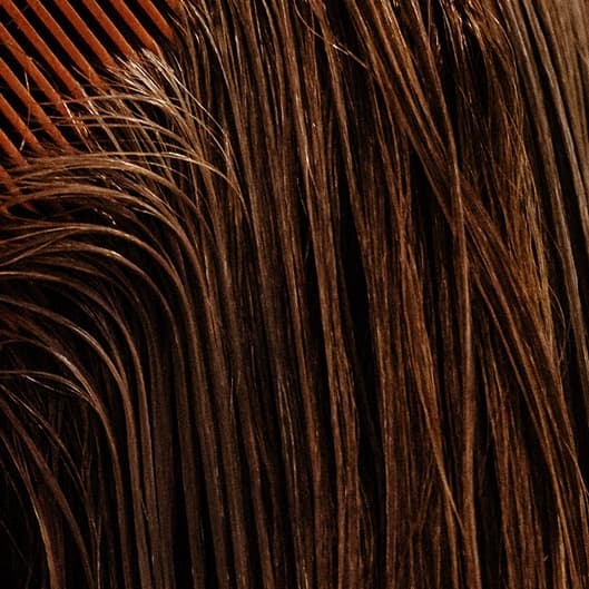THE CROWN FINISH™ MEMBERSHIP at Crown & Ritual in National City, CA